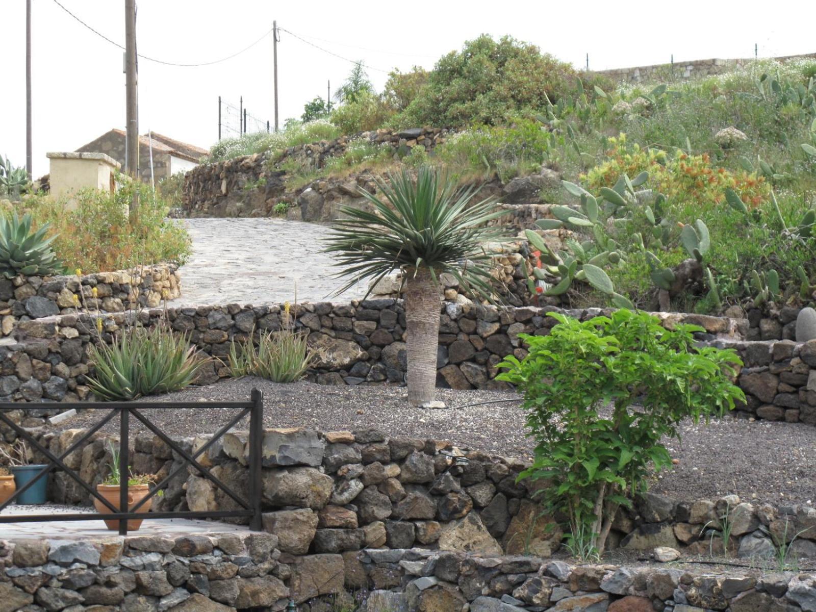 Casa Rural Vera De La Hoya San Miguel de Abona Exterior foto
